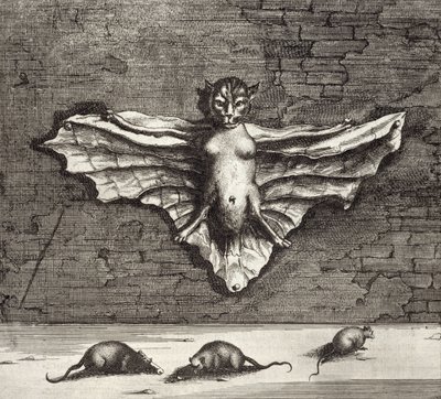 Athanasius Kircher (1601-80) 1667 tarafından resimlenen Çin