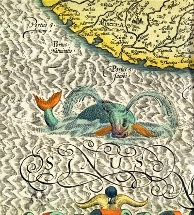 C.3.c.8 Deniz canavarı, Mercator