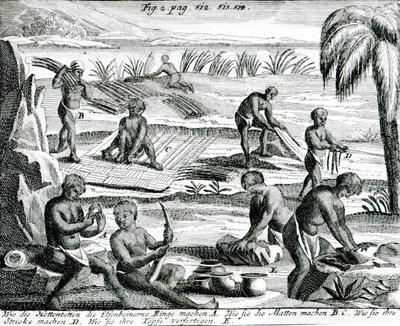 Hottentot