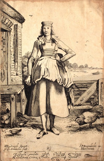 Zijpe