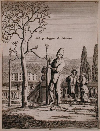 Bir espalier eğitimi, Jan Commelin
