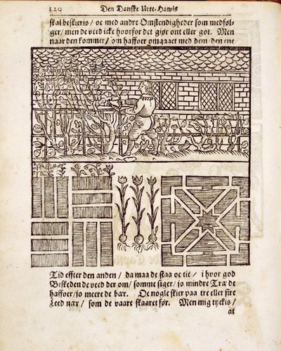 Bahçede Eğitim ve Dikim, Johann van der Groen tarafından Hollandalı Bahçıvandan, 1699