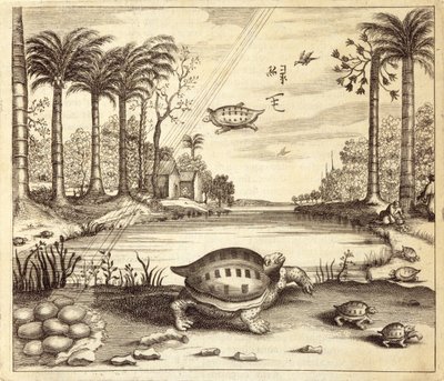 Athanasius Kircher (1601-80) 1667 tarafından resimlenen Çin