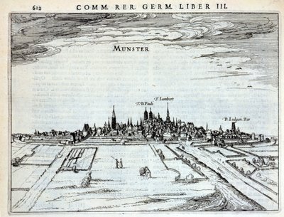 Rerum Germanicarum