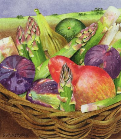 İncirli ve Kuşkonmazlı Kırmızı Armut, 1996 (kağıt üzerine akrilik) by E.B. Watts