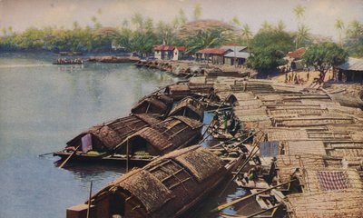 Seylan ..., c1920 by ENA