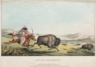 Bufalo avlamak by E. C. Biddle