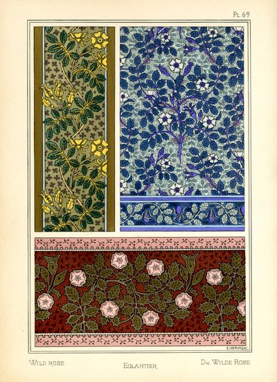 Yabani Gül by E. Hervegh