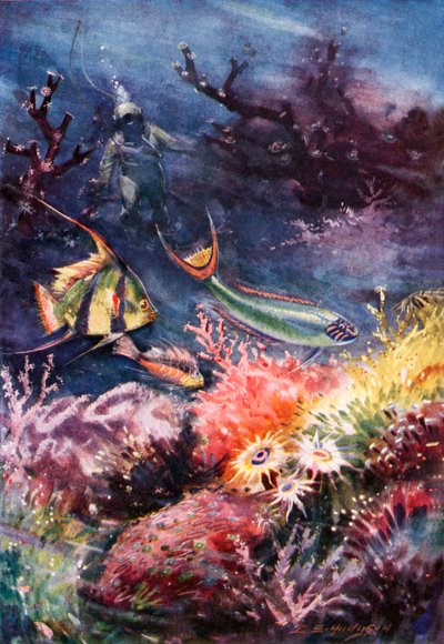  by E. S. (after) Hodgson