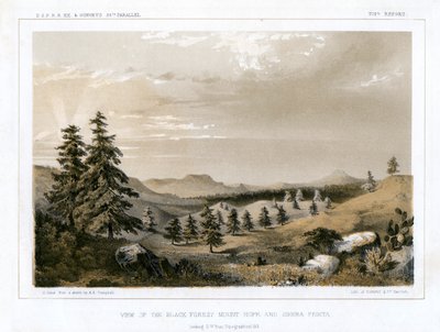 Kara Orman Umut Dağı ve Sierra Prieta, ABD, 1856. by E Stout