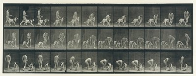 Hayvan Hareketi. Hayvanların Ardışık Evrelerinin Elektro-Fotoğrafik Olarak İncelenmesi ..., 1880