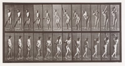 Hayvan Hareketi. Hayvanların Ardışık Evrelerinin Elektro-Fotoğrafik Olarak İncelenmesi ..., 1880
