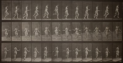 Hayvan Hareketi, Levha 174, 1887. by Eadweard Muybridge