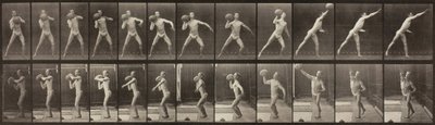 Hayvan Hareketi, Levha 319, 1887. by Eadweard Muybridge