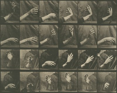 Hayvan Hareketi, Levha 535, 1887. by Eadweard Muybridge