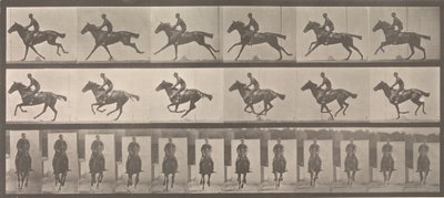 [At ve Binici Dörtnala Gidiyor], 1883-86, 1887 basılmış. by Eadweard Muybridge