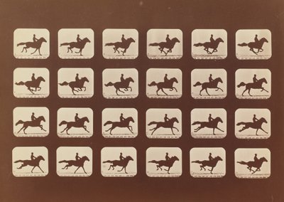 Atlar. Koşma. Phyrne L. No. 40, 1879. by Eadweard Muybridge