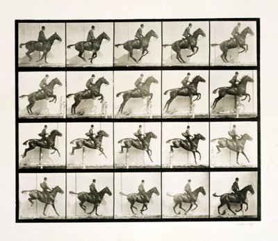 Adam ve at çitten atlıyor, 1887 by Eadweard Muybridge