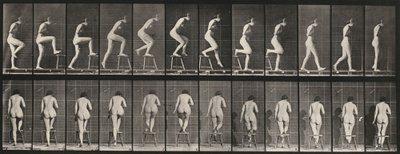 Plaka Numarası 180. Bir sandalyenin üzerine çıkmak, 1887. by Eadweard Muybridge