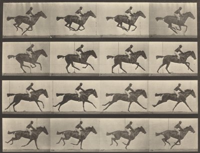 Plaka Numarası 626. Dörtnala, safkan defne kısrağı, Annie G., 1887. by Eadweard Muybridge