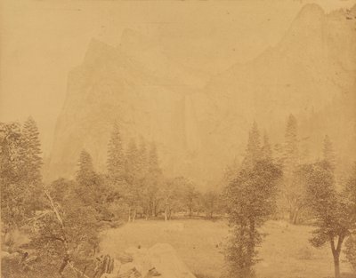 Pohona. Yosemite Vadisi. by Eadweard J. Muybridge