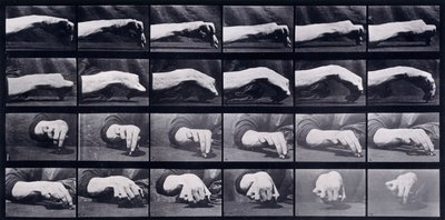 Bir Elin Hareket Etüdü, c.1872-1885 by Eadweard Muybridge