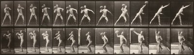  by Eadweard Muybridge