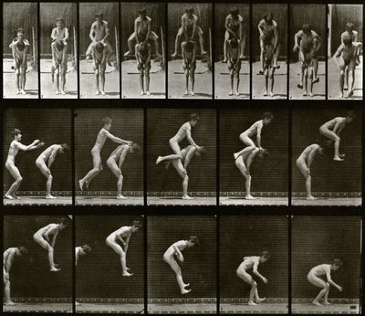 Hayvan Hareketleri by Eadweard Muybridge