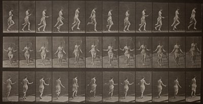 Hayvan Hareketleri, Levha 174 by Eadweard Muybridge