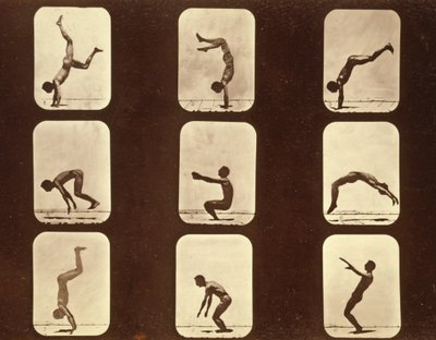 Sporcular Flip flap 