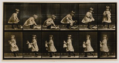  by Eadweard Muybridge