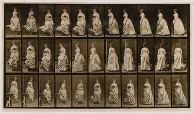 by Eadweard Muybridge