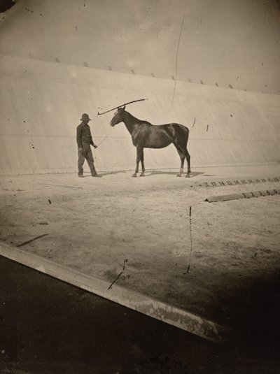  by Eadweard Muybridge