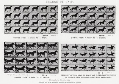 Eadweard Muybridge: Yürüyüşün Değişimi (s/b fotoğraf) by Eadweard Muybridge