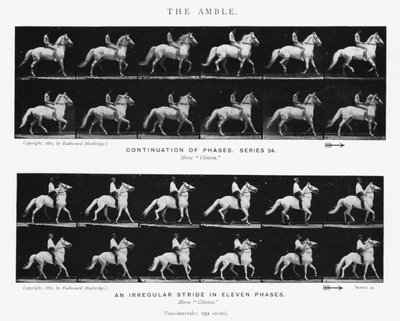 Eadweard Muybridge: Amble (s/b fotoğraf) by Eadweard Muybridge