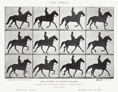 Eadweard Muybridge: Amble (s/b fotoğraf) by Eadweard Muybridge
