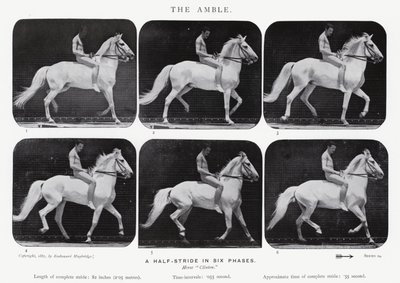 Eadweard Muybridge: Amble by Eadweard Muybridge
