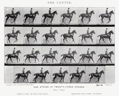 Eadweard Muybridge: Canter by Eadweard Muybridge