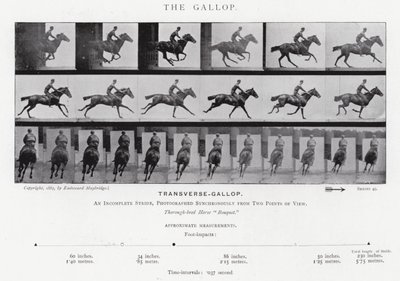 Eadweard Muybridge: Dörtnala (s/b fotoğraf) by Eadweard Muybridge