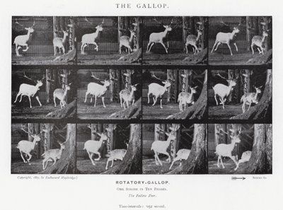 Eadweard Muybridge: Dörtnala (s/b fotoğraf) by Eadweard Muybridge