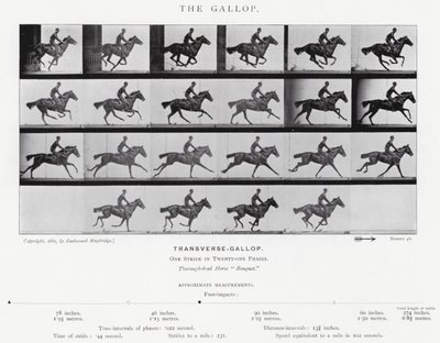 Eadweard Muybridge: Dörtnala (s/b fotoğraf) by Eadweard Muybridge