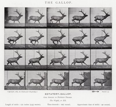 Eadweard Muybridge: Dörtnala (s/b fotoğraf) by Eadweard Muybridge