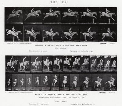 Eadweard Muybridge: Sıçrayış (s/b fotoğraf) by Eadweard Muybridge