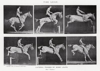 Eadweard Muybridge: Sıçrayış (s/b fotoğraf) by Eadweard Muybridge