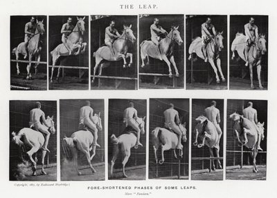 Eadweard Muybridge: Sıçrayış (s/b fotoğraf) by Eadweard Muybridge