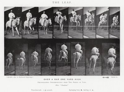 Eadweard Muybridge: Sıçrayış (s/b fotoğraf) by Eadweard Muybridge