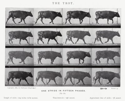 Eadweard Muybridge: The Trot (s/b fotoğraf) by Eadweard Muybridge