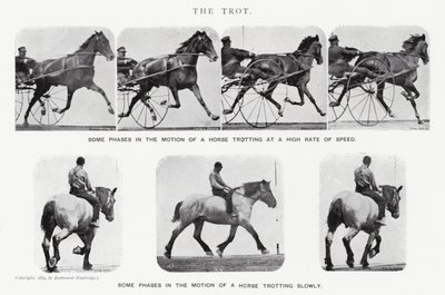 Eadweard Muybridge: The Trot (s/b fotoğraf) by Eadweard Muybridge