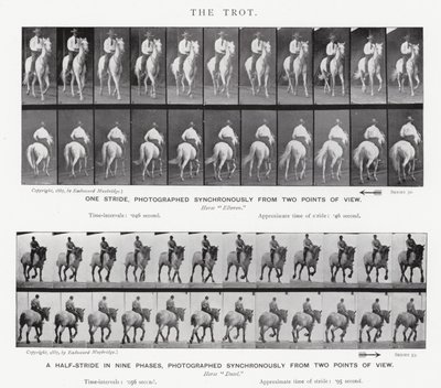 Eadweard Muybridge: Trot by Eadweard Muybridge