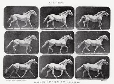 Eadweard Muybridge: Trot by Eadweard Muybridge